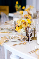 Colorpalooza Styled Shoot 2024
