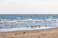 Jake & Rebecca Galveston Proposal